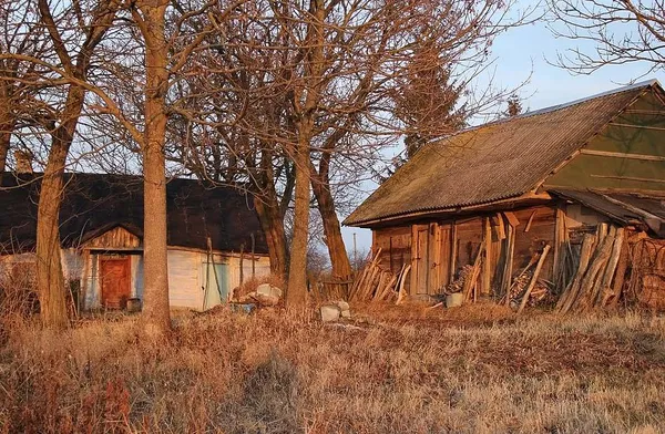Від весняного Стиру до оленів у пущі: 17 неймовірних фотографій «Волині багатоликої»