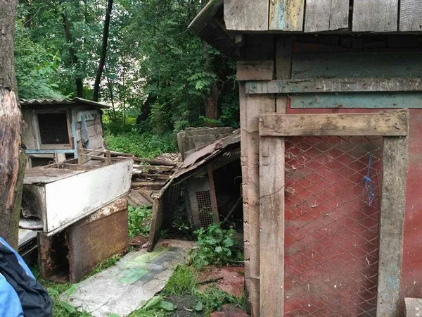 У Луцьку муніципали знесли сараї і паркани (фото) 