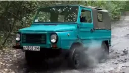 Дешевше за айфон: оригінальну «Волинянку» продають за безцінь (фото, відео)