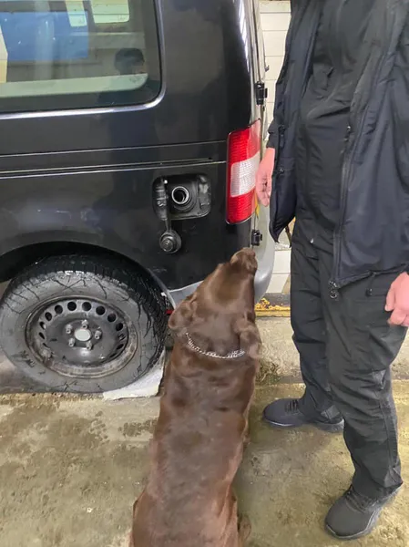 В «Ягодині» в паливному баку автівки знайшли пляшки з 20 кілограмами пігулок