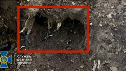 У лісі знайшли пістолет зі слідами ДНК кілера, який вбив Андрія Парубія (фото)