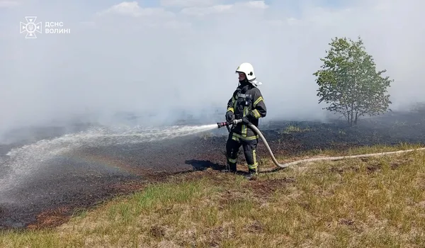 На Камінь-Каширщині горіло торфовище (фото)