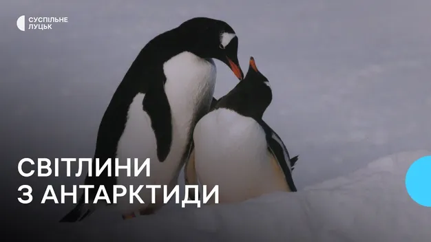 У Луцьку відкрили виставку світлин учасника антарктичної експедиції (відео)