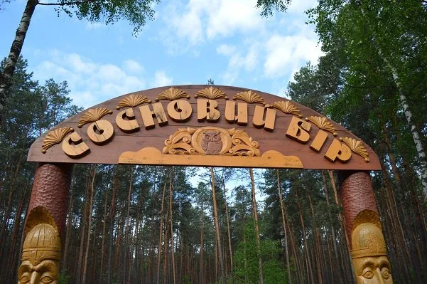 Відпочинок на природі: рекреаційні пункти у волинських лісах