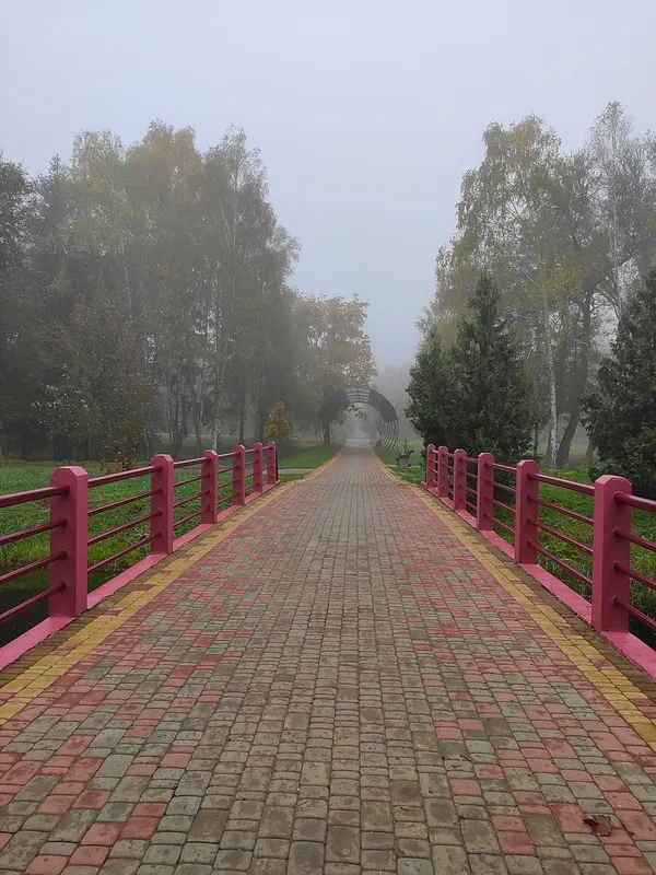Добре добро: лучанин годує і фотографує білочок у парку (фото)