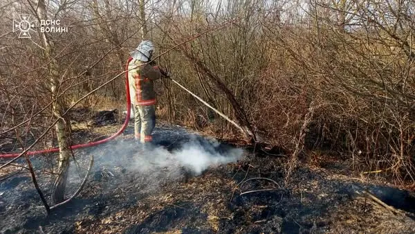 Три пожежі впродовж дня: на Волині горіли торфовища (фото)