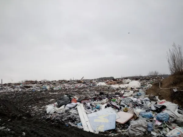 на полігоні