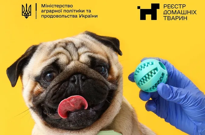 В Україні запускають реєстр домашніх тварин: що потрібно знати