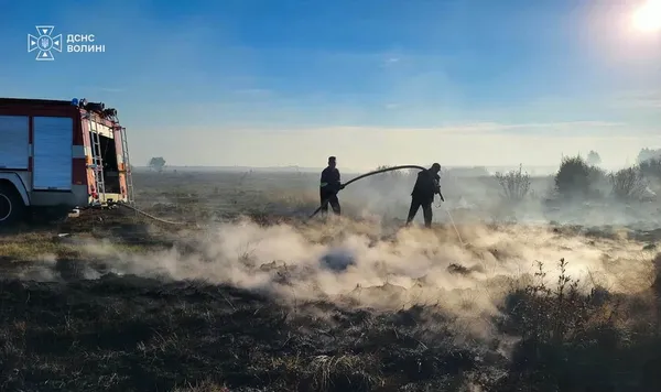 Шість пожеж за добу: на Волині другий день гасять торфовище (фото)