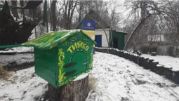 Прокинувся бабак-віщун Тимко та спрогнозував, коли прийде весна (фото)