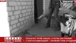 Труїв, кидав голки, а потім застрелив: на Волині чоловік звинувачує сусіда у вбивстві пса (відео)