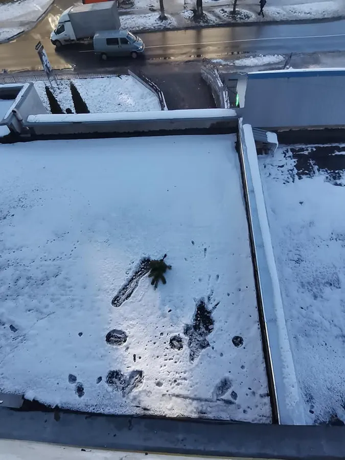 Ялинкопад: у Луцьку новорічне дерево впало на дах ательє (фото)