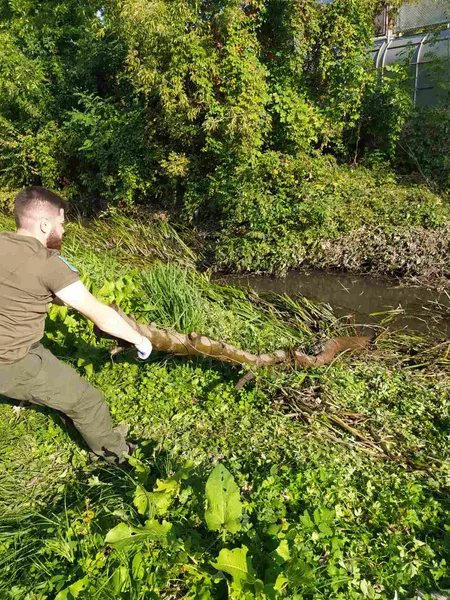 «День води»: у Луцьку екологи почистили берег Сапалаївки (фото)