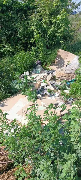 На околицях Луцька розвели стихійні сміттєзвалища (фото)