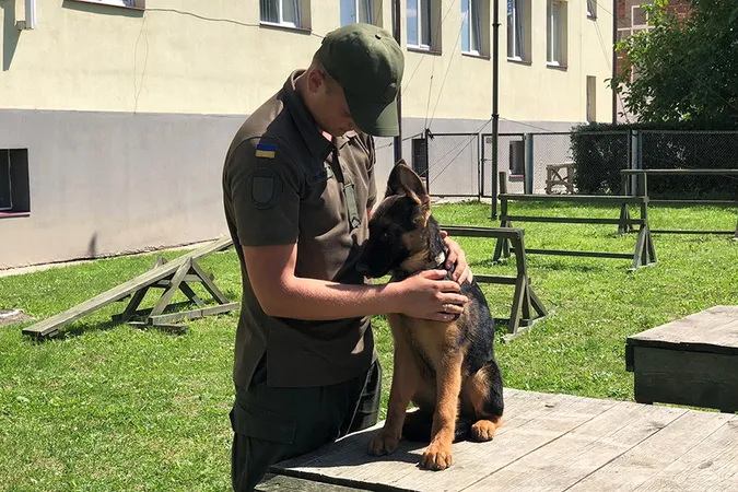 Як волинські гвардійці з грайливих щенят виховують службових псів (фото)