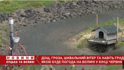 Засипле градом: якою буде погода на Волині наприкінці червня?