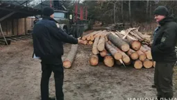 На Ковельщині поліцейські виявили «ліву» деревину (фото)