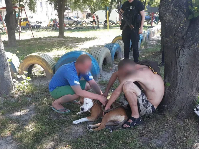 Викрав їжу та спустив собаку: в Луцьку піймали зухвалого грабіжника