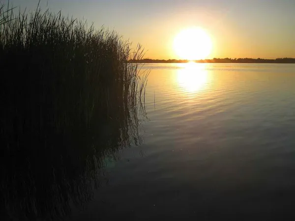 На Волині є загадкове озеро, де за сотні метрів від берега вода лише до колін (фото)