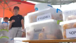 Скільки заробляють продавці легендарних пончиків на Світязі (відео)