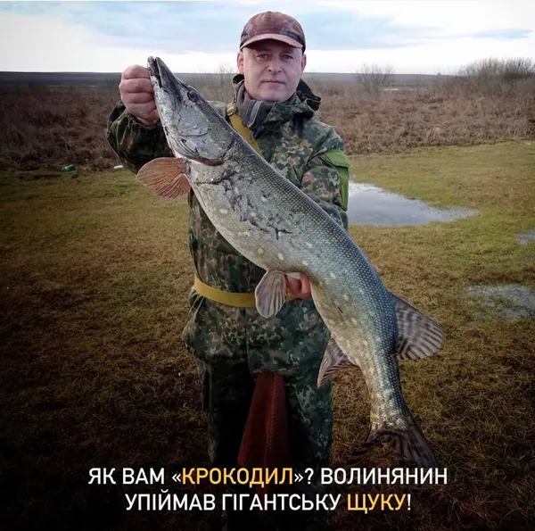 В мережі обговорюють зловлену волинянином щуку-гіганта (фото)
