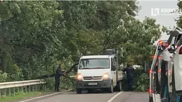 На трасі під Луцьком дерево впало на автівку (фото)