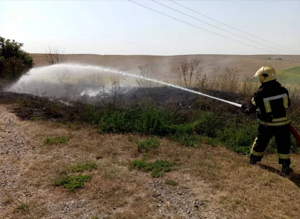 На Волині рятувальники впіймали трьох паліїв: їм виписали великі штрафи (фото)