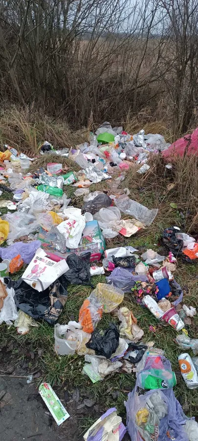 У селі на Волині викинули гору сміття просто неба (фото)