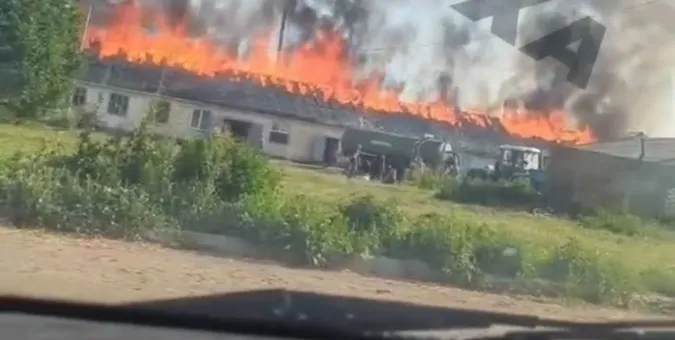 Під Луцьком живцем горять тварини на фермі (відео)