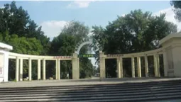 У Запоріжжі загинула 10-річна дівчинка, на яку у парку впала скульптура ведмедя (відео 18+)