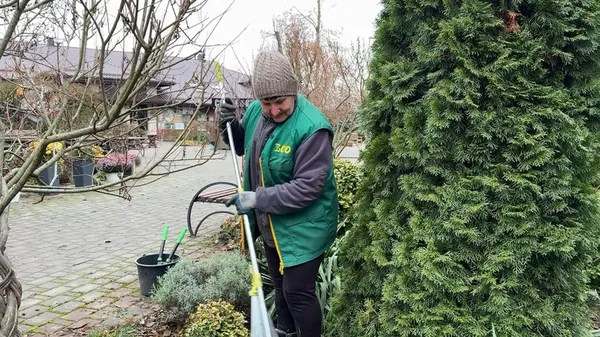 «Хто ходить на роботу – той живе»: 70-річна озеленювачка створює квітковий рай у Луцькому зоопарку