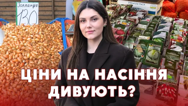 Скільки коштує посадити город у 2026 році: огляд цін на насіння на луцькому ринку (відео)