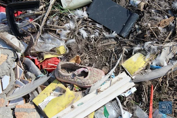 Околицю волинського міста закидали сміттям (фото)