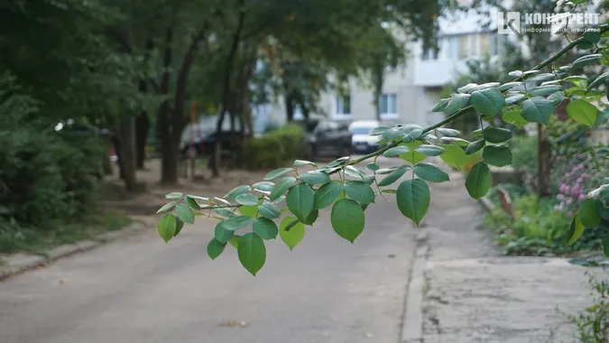 Осінь у Луцьку: ранок на 33-му (фото)