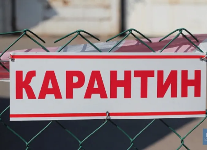 За три тижні ми повинні вийти з «червоної зони», – заступниця голови Волинської ОДА