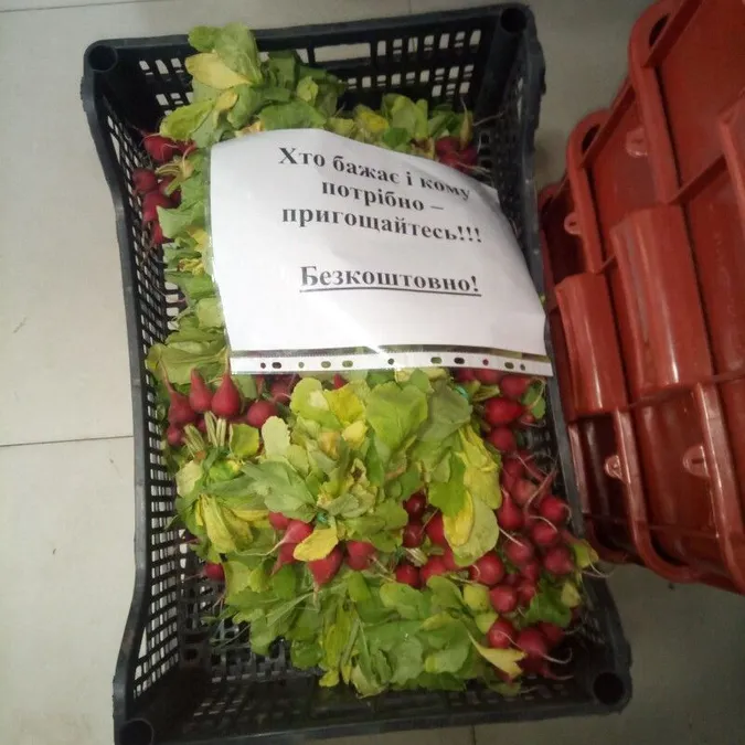 У Луцьку фермери безкоштовно роздають екогородину (фото)