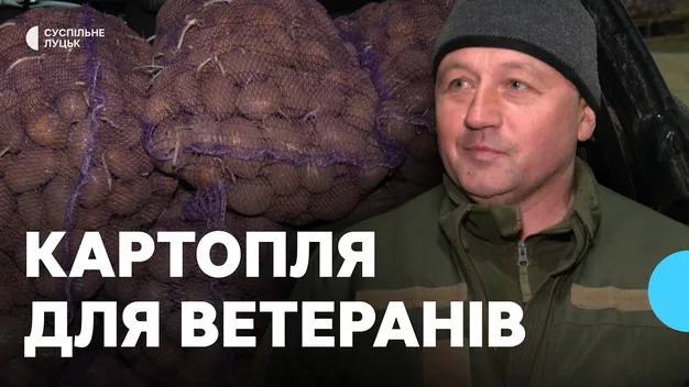 Німецька та голландська: на Волині ветеранам та родинам військових безплатно роздають картоплю (фото, відео)