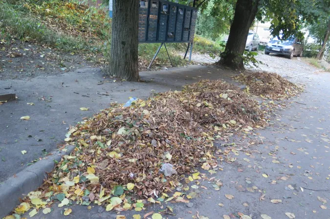 Лучани нарікають на сміття в центрі міста