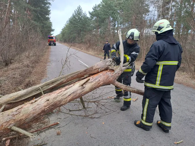 У Луцькому районі сухе дерево перегородило дорогу (фото)