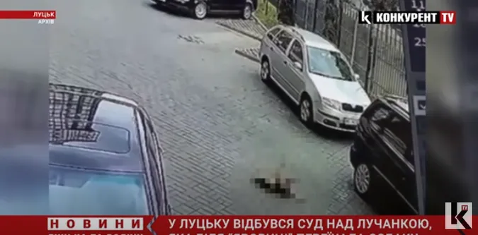 У Луцьку судять водійку, яка переїхала собаку біля «Яровиці» (відео)