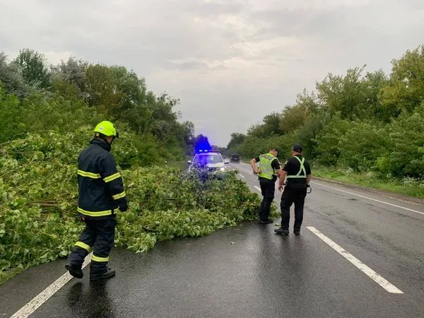 Негода вирує: під Луцьком сильний вітер повалив дерево на дорогу (фото)