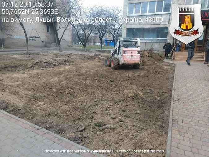 У Луцьку рили землю без дозволів і знищили дерево (фото)
