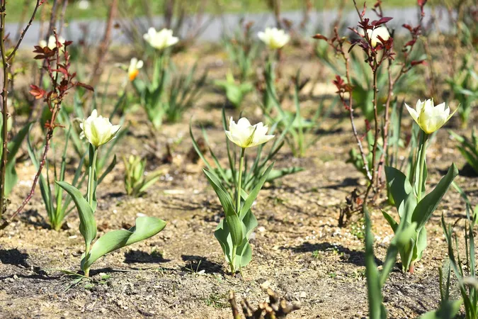 Весна у Луцькому зоопарку: показали чарівливі фото