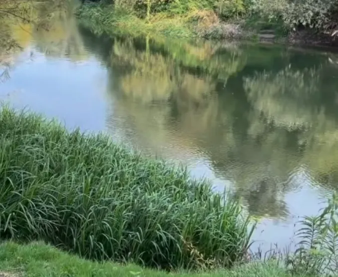 З'їхали з траси – і до самої води: біля Луцька показали рибне місце (відео)