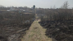 Під Луцьком спіймали палійку: жінка спалила 3 гектари сухостою (фото)