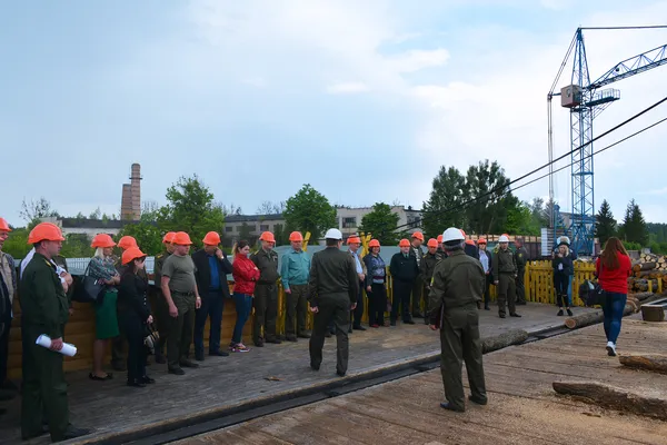 Від сучків до дубових заготовок: як на Волині «пиляють» ліс (ФОТОРЕПОРТАЖ)