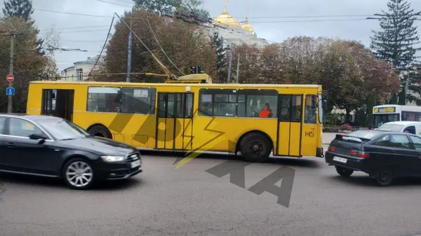 У центрі Луцька помітили «єдинорога»