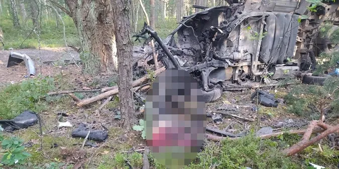 Поїхали по чорниці: на Житомирщині авто підірвалося на міні (фото, відео)