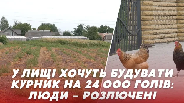 У селі біля Луцька хочуть будувати гігантську птахофабрику: люди обурені (відео)