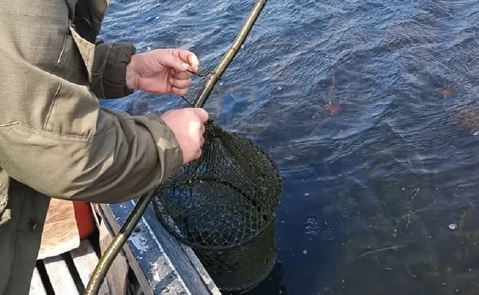 У нацпарку на Волині невідомі незаконно ловили рибу